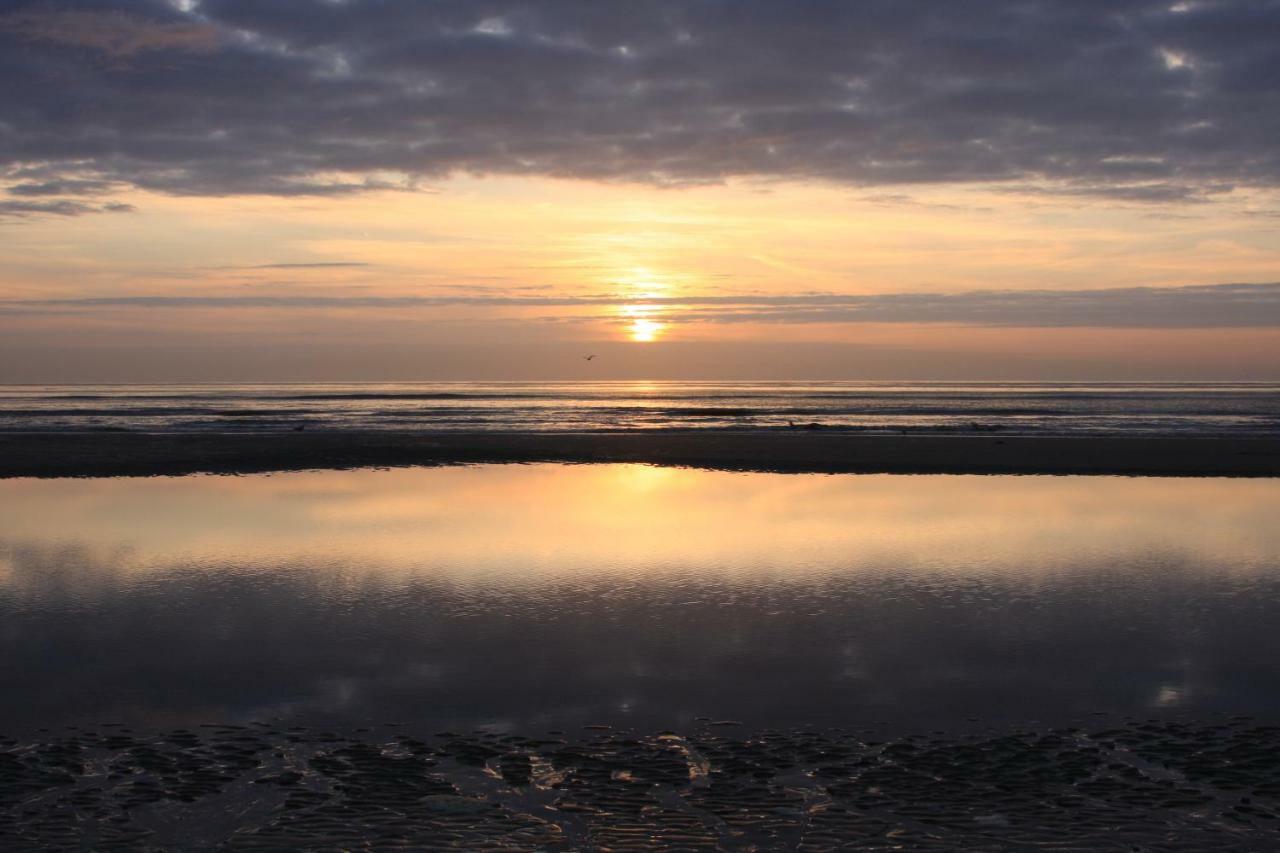 'T Lant Van Texsel De Koog  Exteriér fotografie