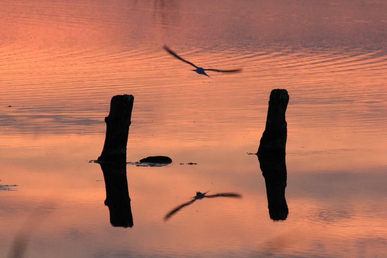 'T Lant Van Texsel De Koog  Exteriér fotografie
