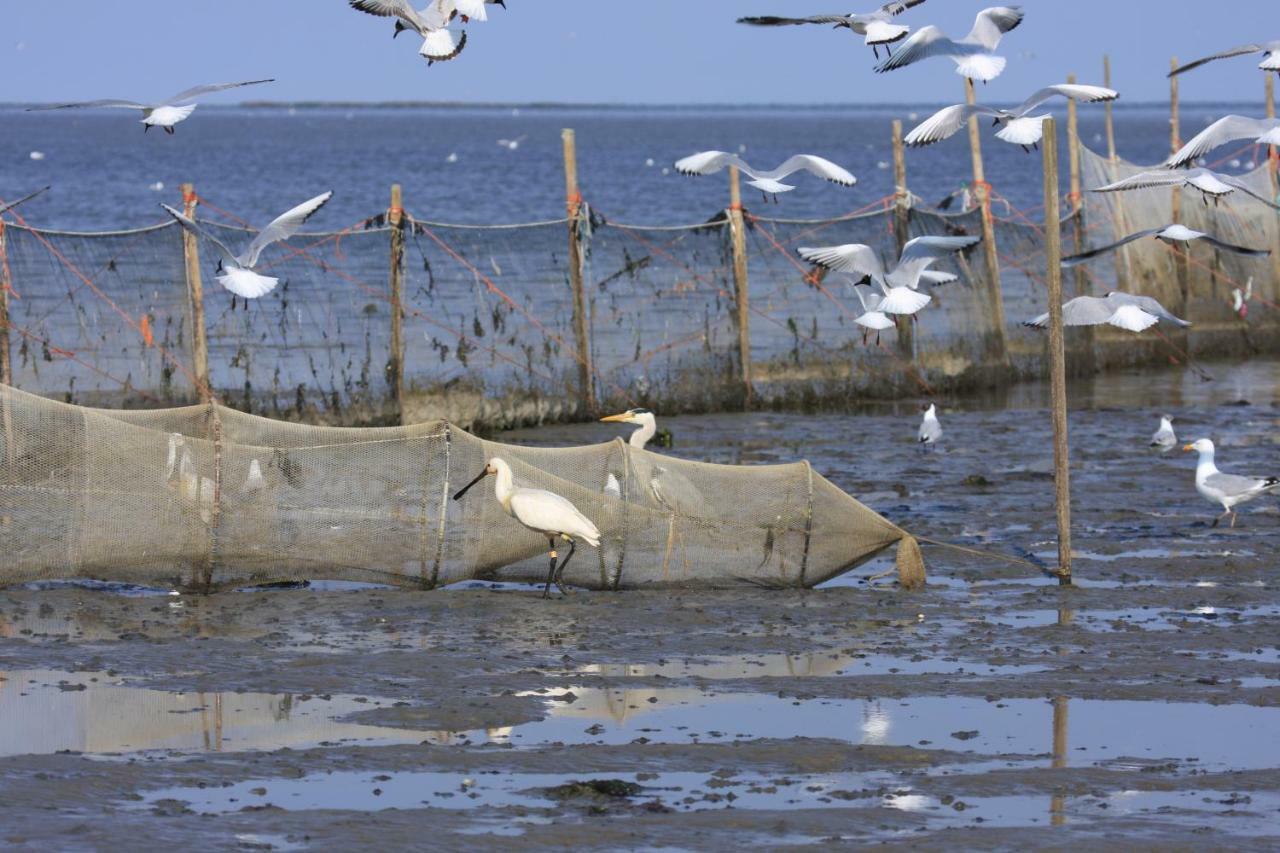 'T Lant Van Texsel De Koog  Exteriér fotografie