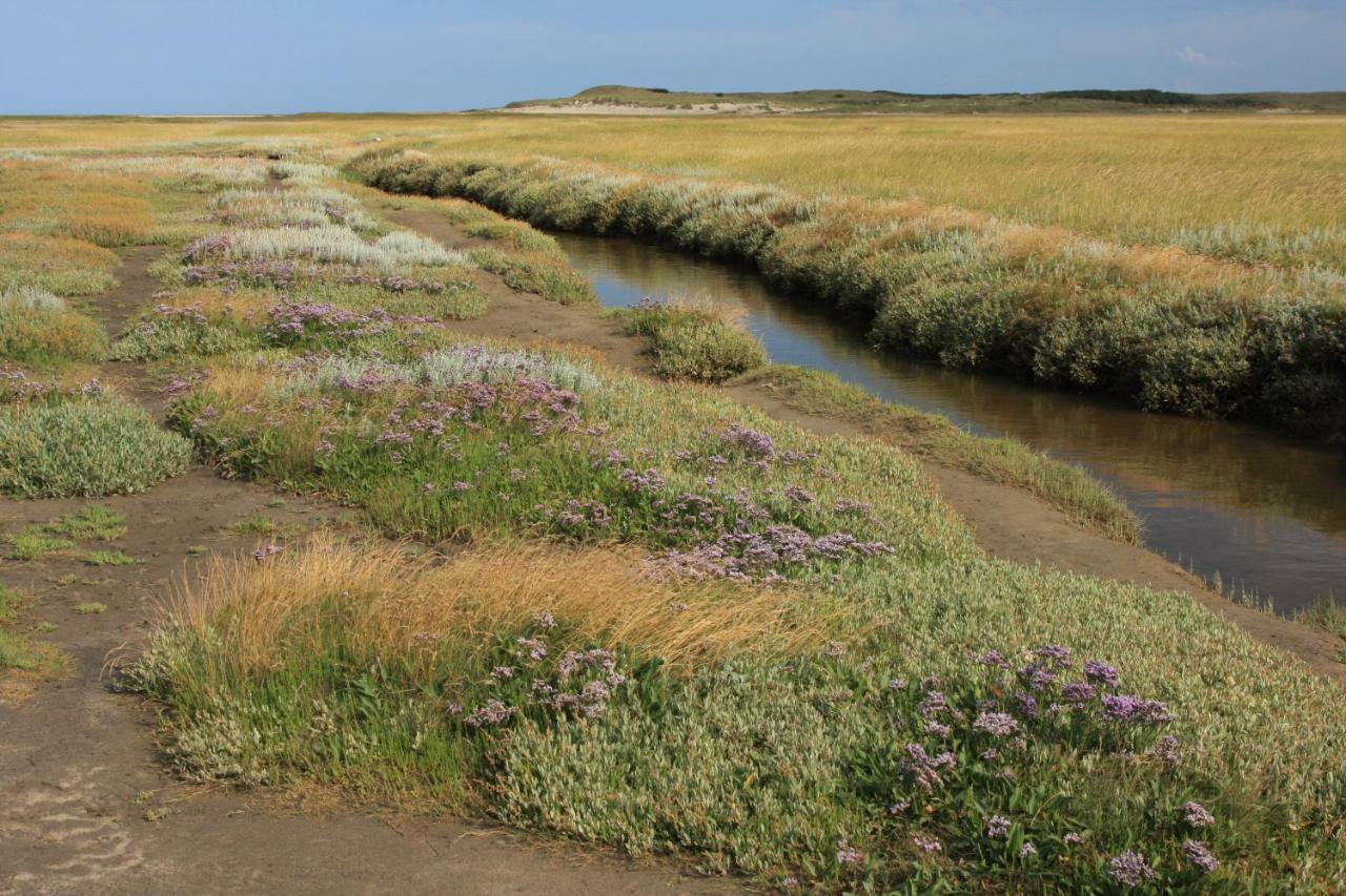 'T Lant Van Texsel De Koog  Exteriér fotografie